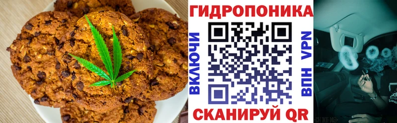 МЕГА ссылки  как найти наркотики  Челябинск  Печенье с ТГК конопля 