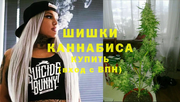 ешки Ладушкин