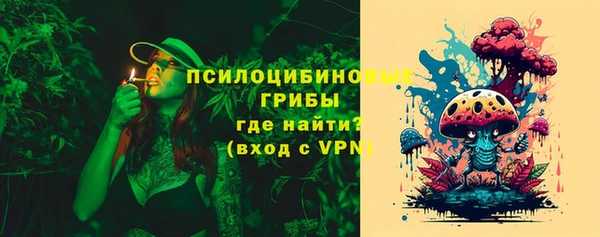 ешки Ладушкин
