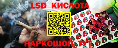 a pvp Шебекино