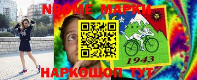 бошки Шелехов