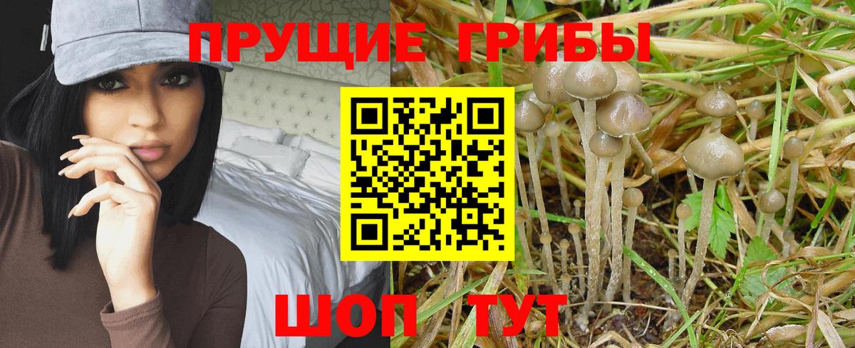 Псилоцибиновые грибы ЛСД Челябинск