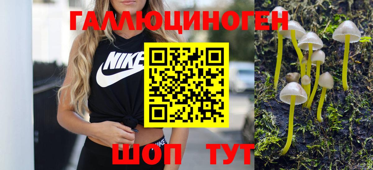 магазин продажи   Галлюциногенные грибы ЛСД  Галлюциногенные грибы Psilocybine cubensis  Вход с VPN  Челябинск 